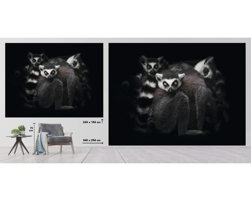 Fototapet med lemurmotiv för väggdekoration