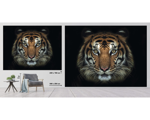 Väggmålning med tigermotiv i två storlekar