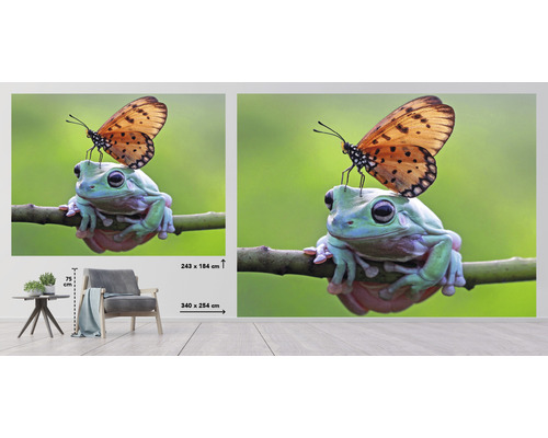 Fototapet med groda och fjäril