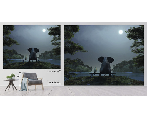 Fototapet med elefant, katt och sjö på natten, storlek 340 x 254 centimeter