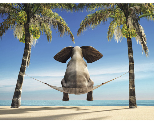 Fototapet SPECIAL DECORATION Elefant Hängmatta 5 delar 243x184cm En elefant sitter i en hängmatta mellan två palmer med utsikt över havet.