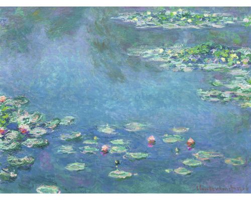 Fototapet SPECIAL DECORATION Monet Näckrosor 5 delar 243x184cm