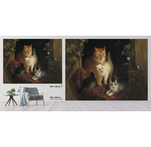 Fototapet med kattmotiv, mått 340 x 254 centimeter