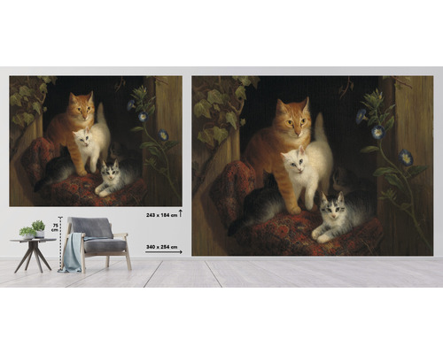 Fototapet med kattmotiv, mått 340 x 254 centimeter