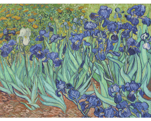 Fototapet SPECIAL DECORATION Van Gogh Irisar 5 delar 243x184cm