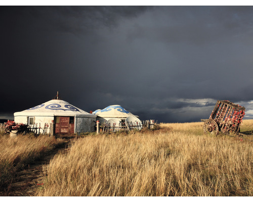 Fototapet SPECIAL DECORATION Mongolisk Yurts 5 delar 243x184cm