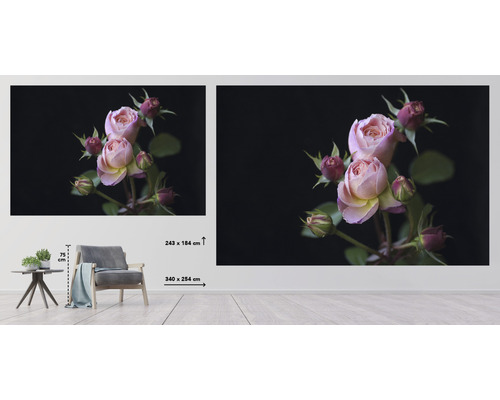 Fototapet med rosmotiv i ett rum