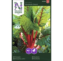Fröförpackning Mangold ''Rhubarb Chard''