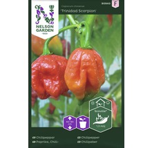 Fröförpackning Trinidad Scorpion chili