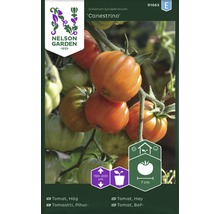 Tomatfrö NELSON GARDEN hög Canestrino