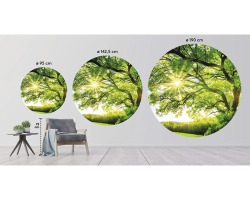 Tre runda väggmålningar med träd- och naturmotiv i olika storlekar