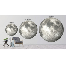 Fototapet SPECIAL DECORATION non-woven Måne Ø190cm