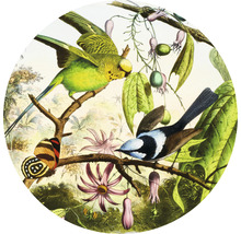 Fototapet SPECIAL DECORATION non-woven Fåglar 2 Ø190cm