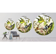 Fototapet SPECIAL DECORATION non-woven Fåglar 2 Ø190cm