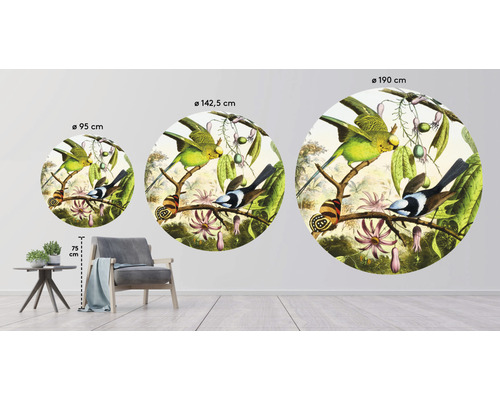 Tre runda väggmålningar med fågelmotiv i olika storlekar i rummet