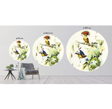 Fototapet SPECIAL DECORATION non-woven Fåglar 1 Ø190cm