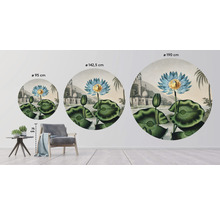 Fototapet SPECIAL DECORATION non-woven Näckrosor Ø190cm