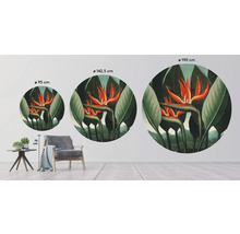 Fototapet SPECIAL DECORATION non-woven Strelitzia Ø190cm