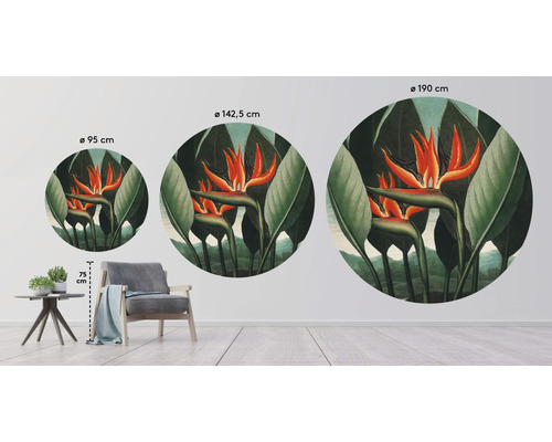 Illustration av runda väggmålningar med paradisfåglar i olika storlekar