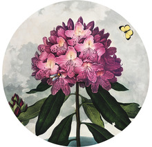 Illustration av en rhododendronblomma med ett bi och en fjäril