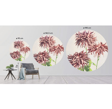 Fototapet SPECIAL DECORATION non-woven Krysantemum Ø190cm