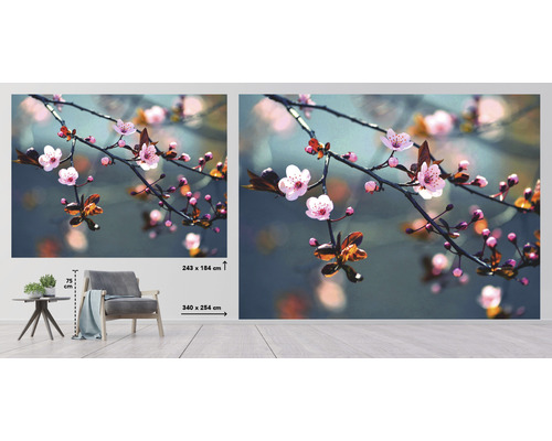 Fototapet med körsbärsblommotiv i rummet, storlek 340 x 254 centimeter