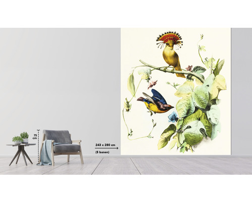 Rumsvy med en tapet som visar fågelmotiv och växter, mått 243 gånger 280 centimeter