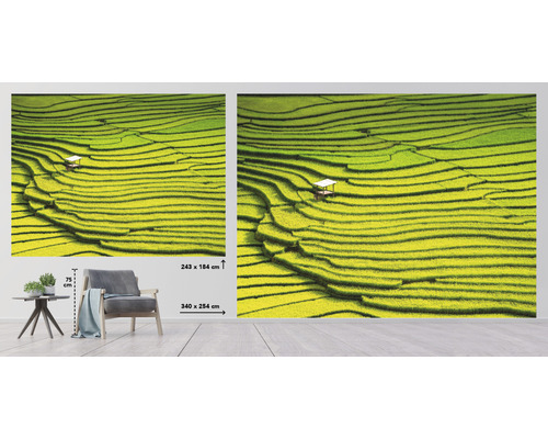 Fototapet med motiv av risterrasser och måtten 340 gånger 254 centimeter