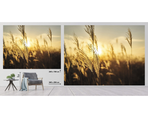 Fototapet med gräs framför solnedgången, mått 340 x 254 centimeter