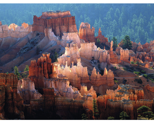 Fototapet SPECIAL DECORATION Bryce Canyon 5 delar 243x184cm