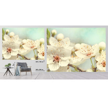 Väggbild med körsbärsblomstermönster i två storlekar