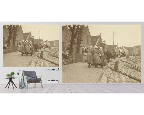 Historisk byvy som väggdekoration, 340 x 254 centimeter