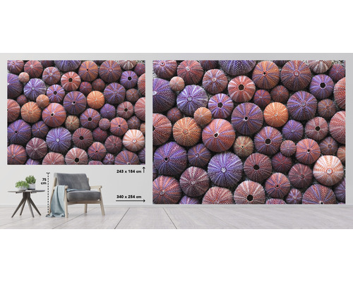 Väggbild med sjöborremotiv för rumsdesign