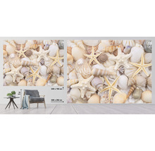 Fototapet SPECIAL DECORATION Snäckskal 7 delar 340x254cm