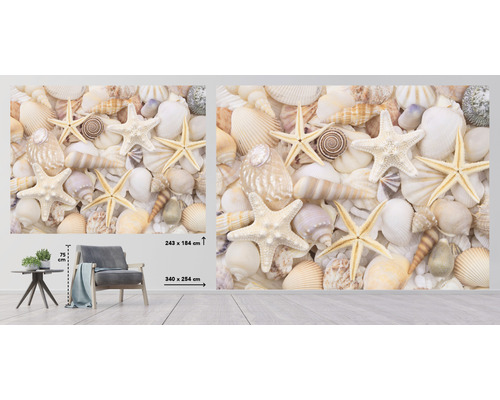 Fototapet med snäckor och sjöstjärnor i vardagsrummet