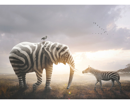 Fototapet SPECIAL DECORATION Zebraelefant 5 delar 243x184cm