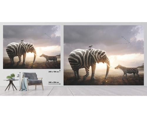 Fototapet med zebraelefant och zebra
