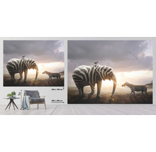 Väggmålning med zebraelefant och zebra i gräset, storlekar 243 x 184 centimeter och 340 x 254 centimeter