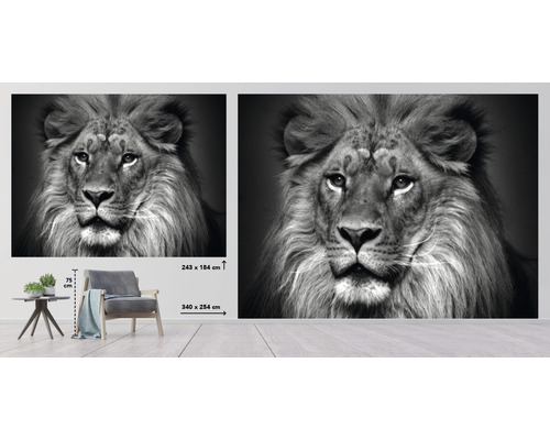Fototapet med lejonhuvud i svartvit design, 340 x 254 cm
