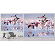 Fototapet SPECIAL DECORATION Flamingo 7 delar 340x254cm
