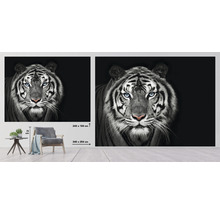 Fototapet SPECIAL DECORATION Tiger svartvit 7 delar 340x254cm