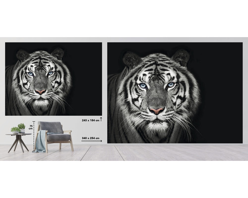 Väggmålning med tigermotiv, storlek 340 x 254 centimeter