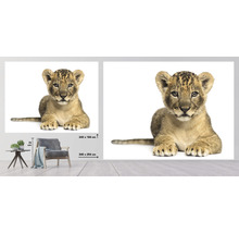 Fototapet SPECIAL DECORATION Lejonunge 7 delar 340x254cm