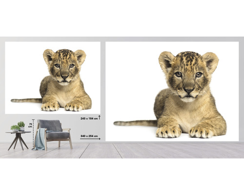 Väggbild med lejonunge, liggande