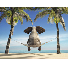 Fototapet SPECIAL DECORATION Elefant Hängmatta 7 delar 340x254cm