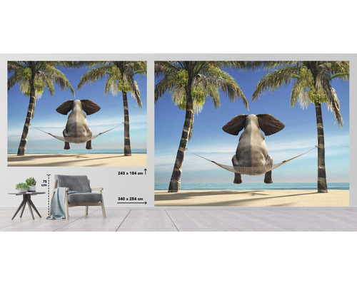 Fototapet med en elefant i en hängmatta mellan palmer på stranden