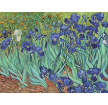 Fototapet SPECIAL DECORATION Van Gogh Irisar 7 delar 340x254cm