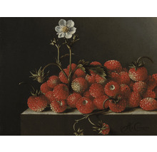 Stilleben med jordgubbar och jordgubbsblomma på en sockel