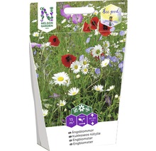 Nelson Garden Fröblandning ängsblommor för 15 kvadratmeter