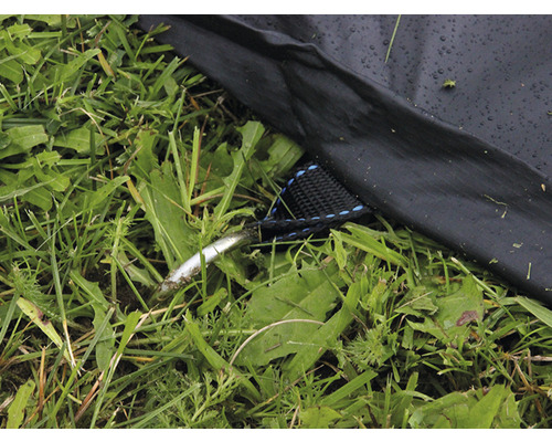 Detaljbild av en tältpinne, en tältlina och tältgolvet i gräset